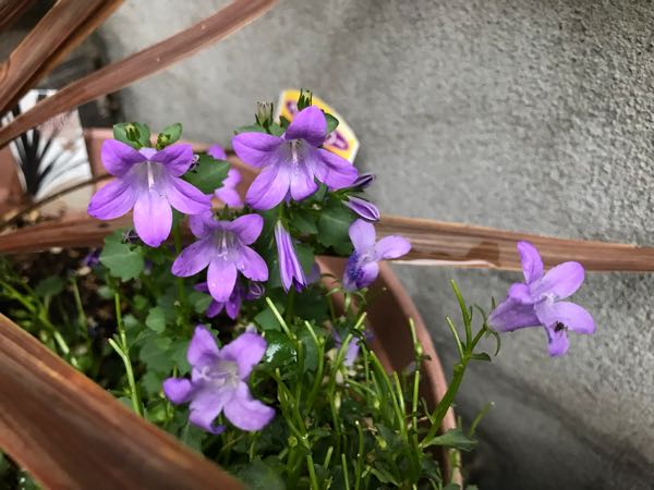 rblog-20180430175651-06.jpg