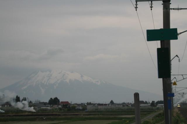 583系 弘前さくらまつり号2