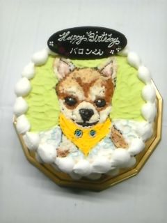 動物ケーキ デコレーションケーキのデリバリーショップ 楽天ブログ