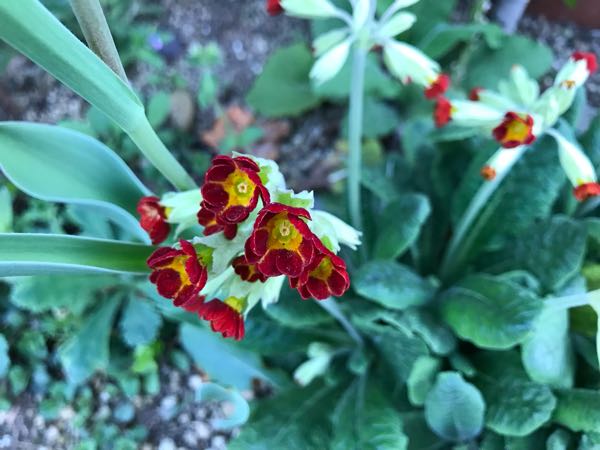 rblog-20180408181115-08.jpg