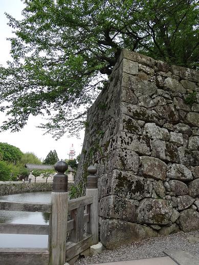 彦根城2.JPG