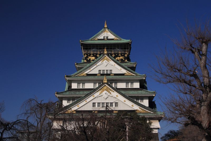 スパーイルミネーション昼景_003.jpg