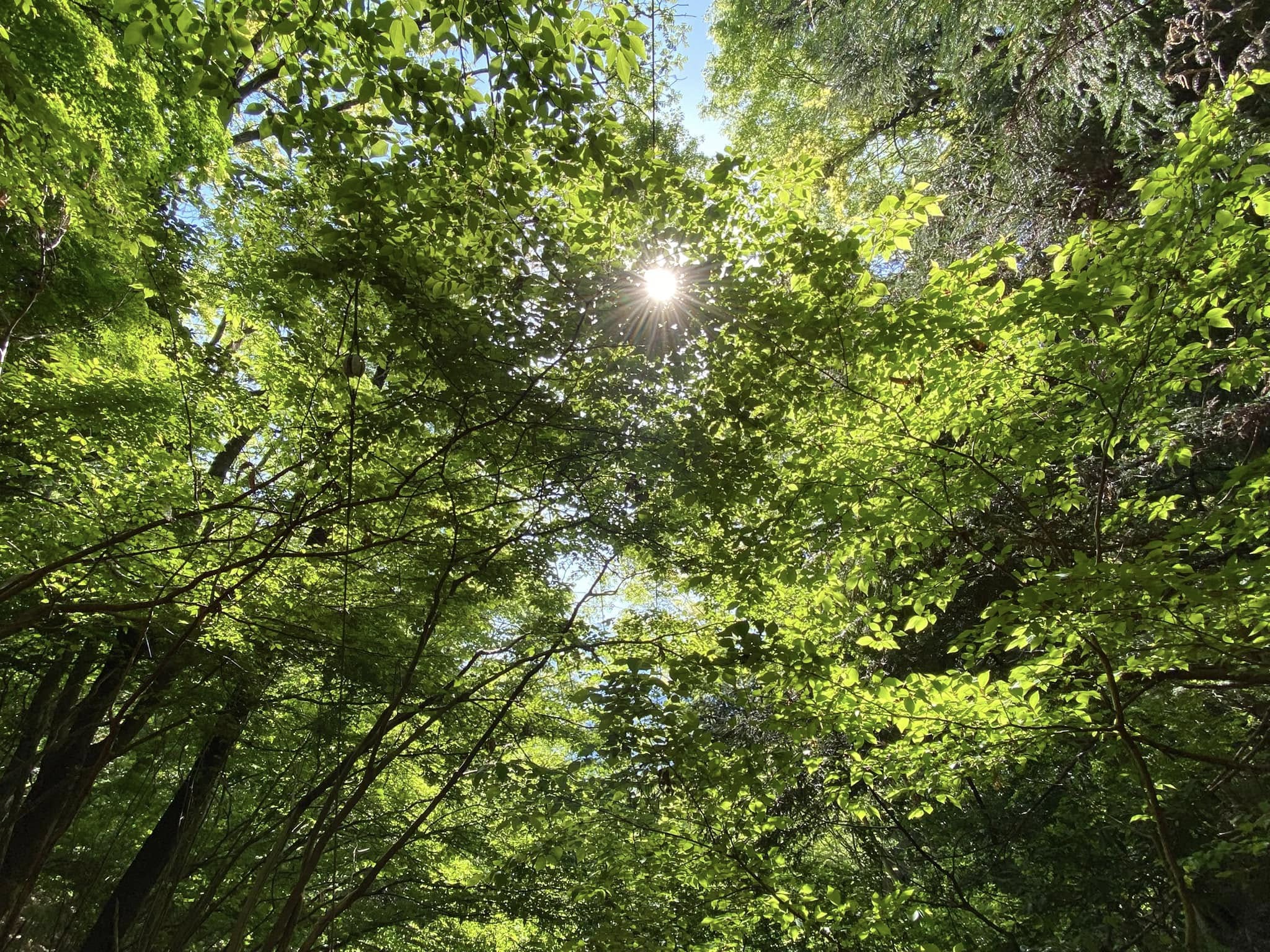 醍醐山と下部（しもべ）温泉