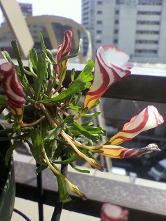 2013012013430000.jpg