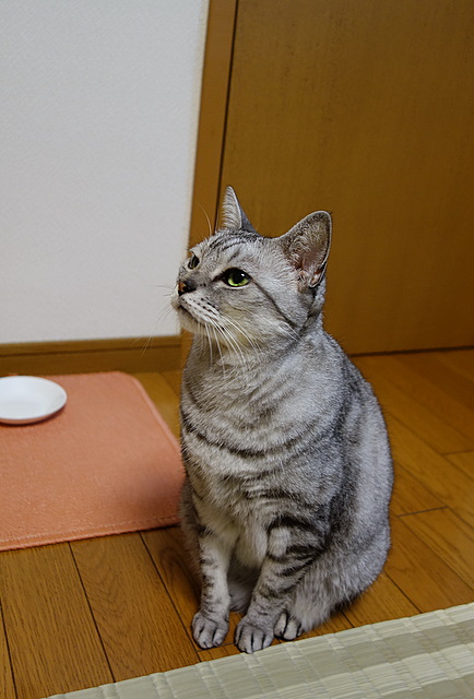 2014081514