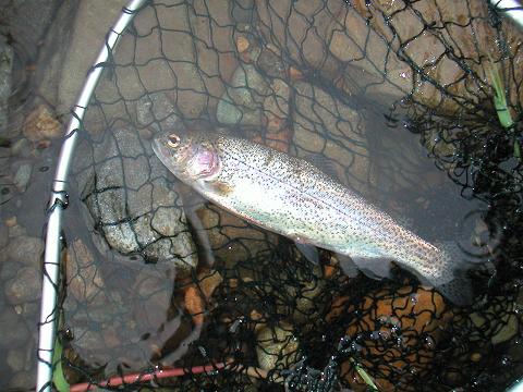2012.09.22^23 011.jpg