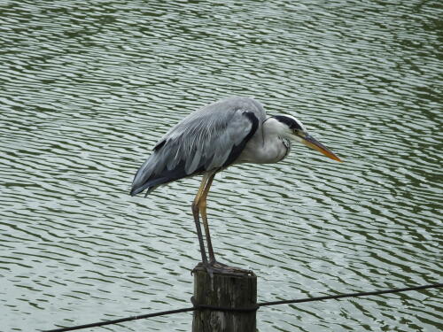 小池公園にて