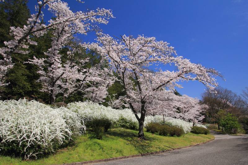 万博記念公園_007.jpg