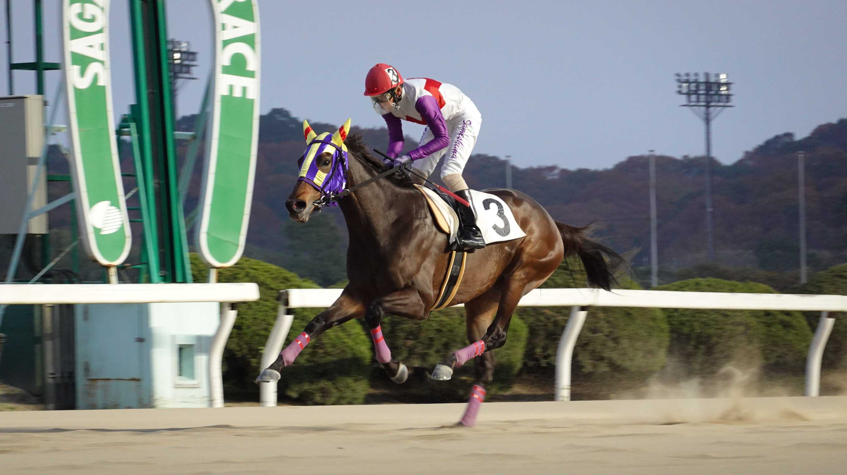 19ページ目の記事一覧 地方競馬の楽天競馬 日替わりライターブログ 楽天ブログ