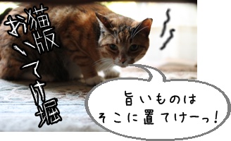 画像 194.jpg