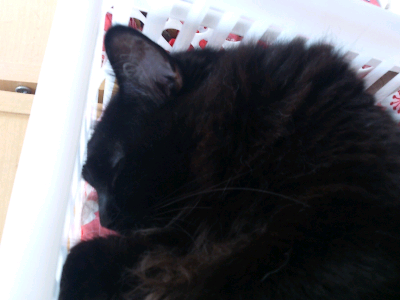 rblog-20130609164208-01.png
