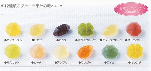 種類.jpg