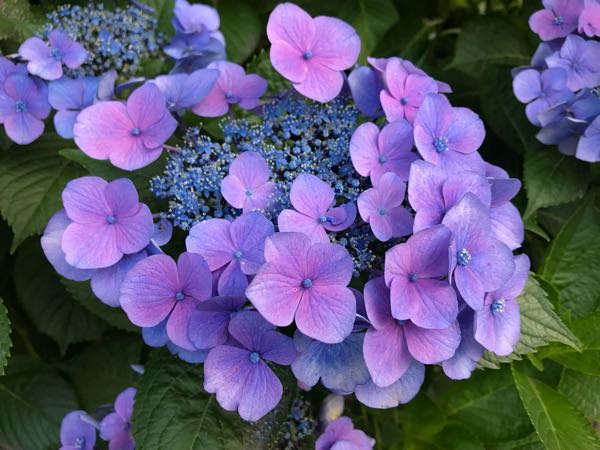 rblog-20180624181756-06.jpg