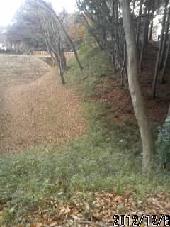 勝山城　秋３
