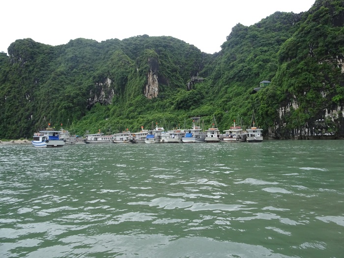 DSC09567_R.JPG