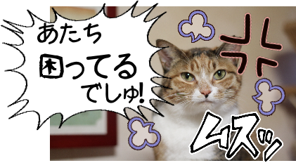 IMG_0504.png
