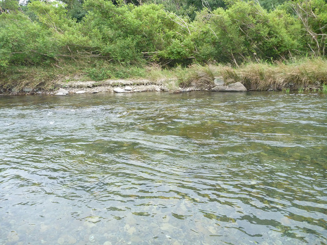 resize0026.jpg