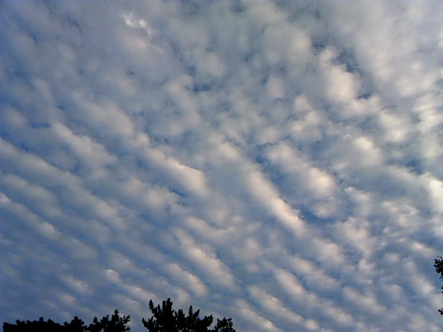 10.13の空