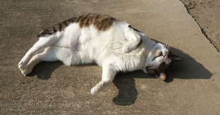 P1280788-ass.jpg