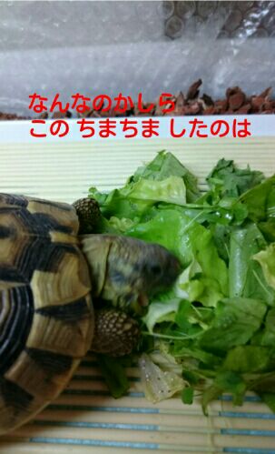 rblog-20151124160133-02.jpg