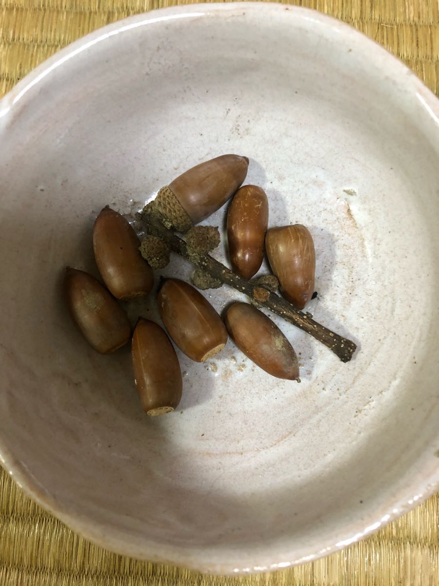 rblog-20181111154416-01.jpg