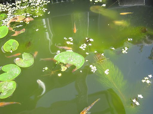 IMG_1611.JPG