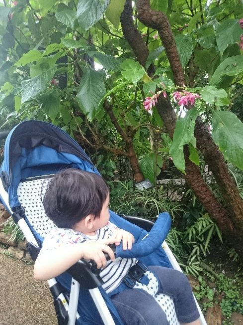 rblog-20180924164700-02.jpg