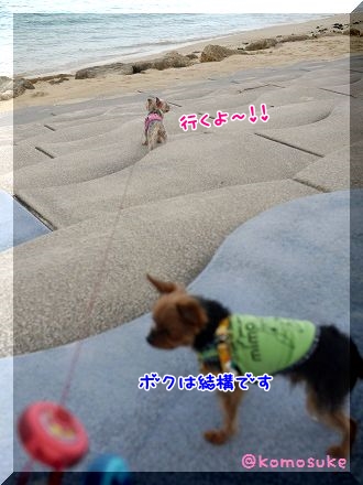 P1210819.jpg