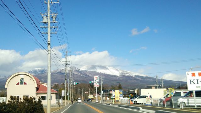 16452683_2030925955_212large.jpg