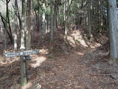 DSCN6338s.jpg