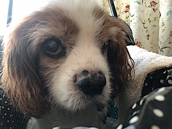 rblog-20180323022948-05.jpg