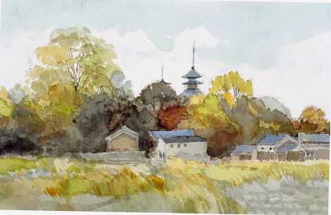 安野７