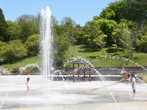 小泉潟公園の噴水、作動開始！ 公園日記 楽天ブログ