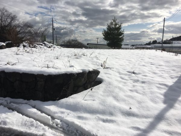 rblog-20170118164230-00.jpg