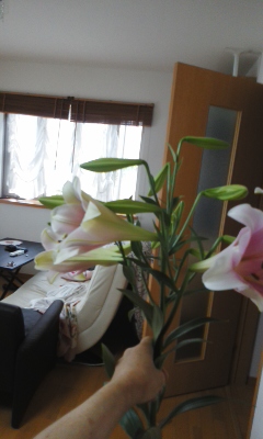 デカ百合2.jpg