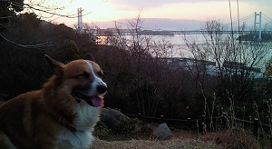 201401020729002.jpg