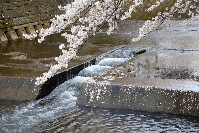 恩田川-04