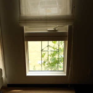 120320b.JPG