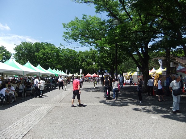 大江戸和宴・代々木公園の会場１