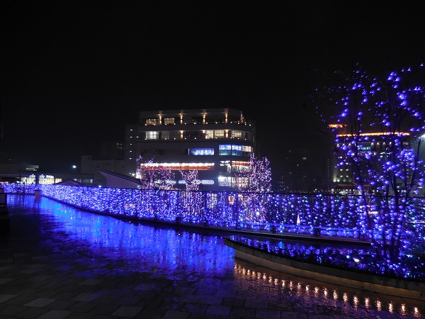 DSCN3480.jpg