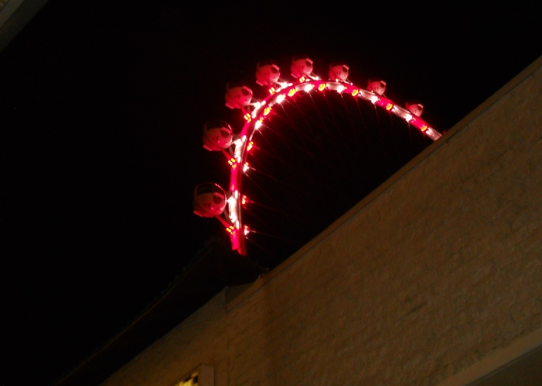 DSCN2800.jpg