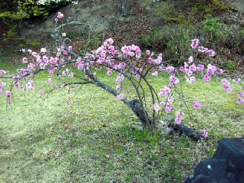 DSCN2150.jpg