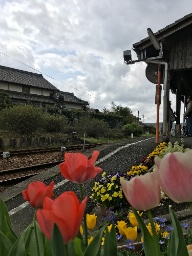 IMG_7253.jpg