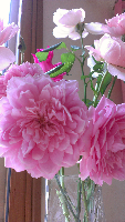 rblog-20130810091336-02.png