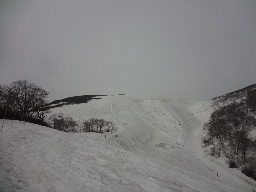 DSC00605 - 900x675