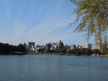DSCN6537111.jpg