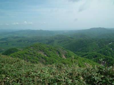 DSCF4568.jpg