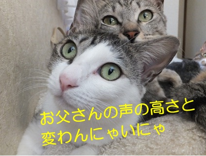 20120907_3.jpg