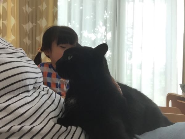 rblog-20180222174140-02.jpg