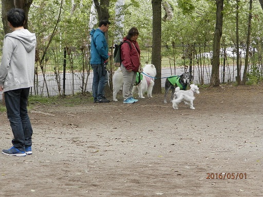 P5010091.jpg